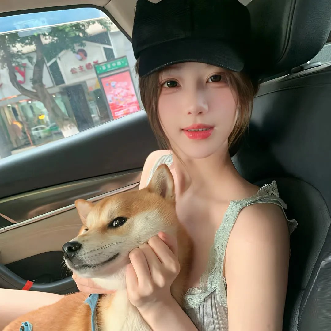 老师与流浪猫